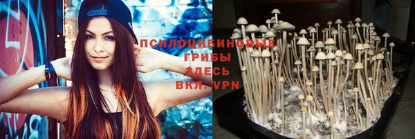 гашиш Няндома