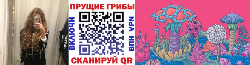Псилоцибиновые грибы мицелий  Тавда 