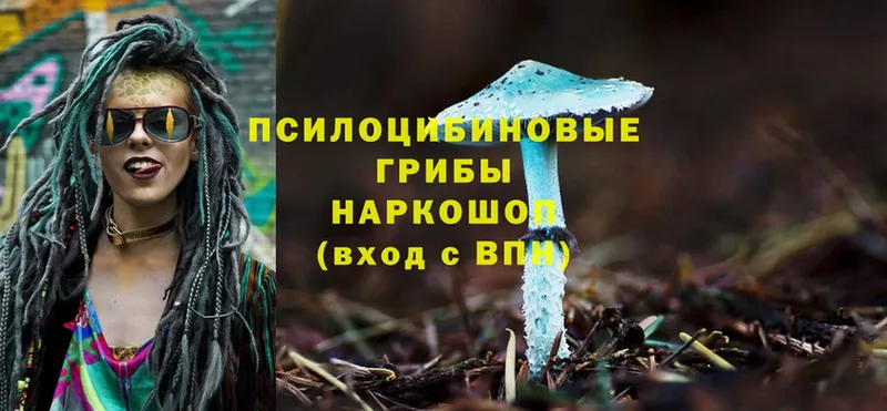 Галлюциногенные грибы MAGIC MUSHROOMS  Тавда 